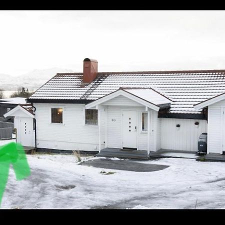 Lovely One Bedroom Apartment Tromso Bagian luar foto